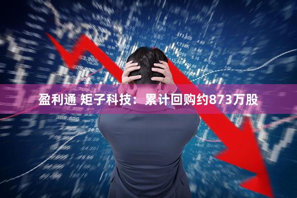 盈利通 矩子科技：累计回购约873万股